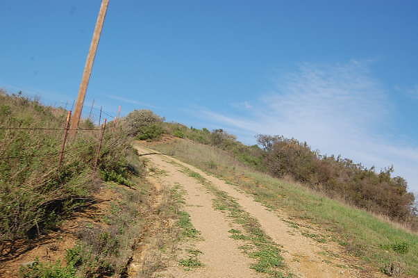 DSC 0987