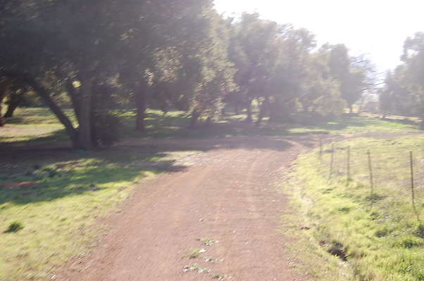 DSC 1000