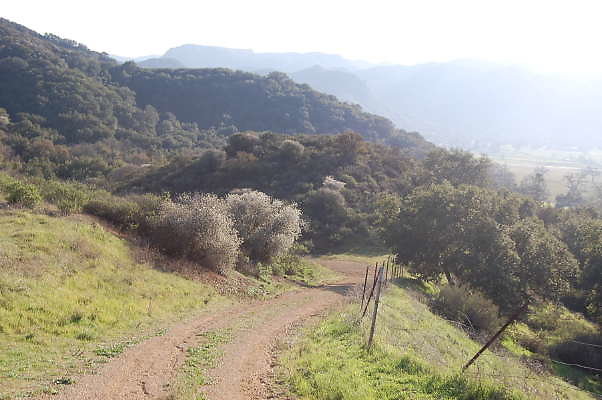 DSC 0995