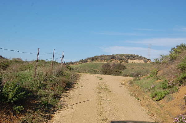 DSC 0988