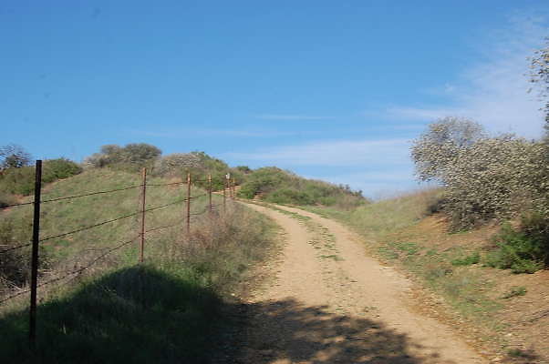 Ventura Farms Road to water tank