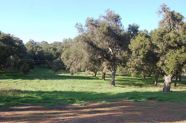 DSC 1001