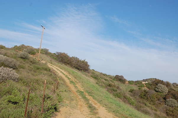 DSC 0986