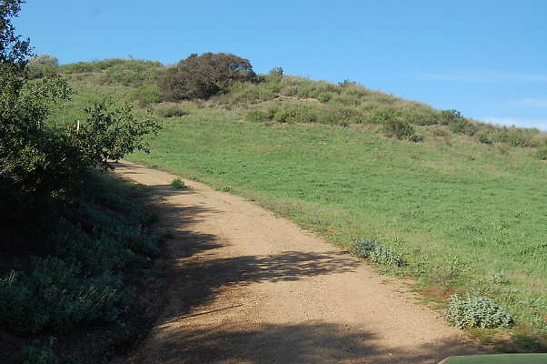 DSC 0977