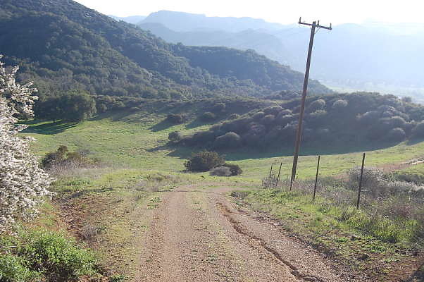 DSC 0990
