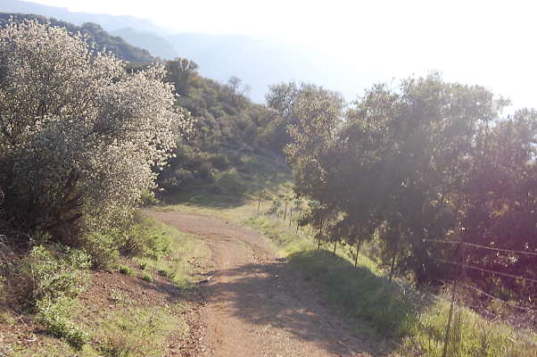 DSC 0996