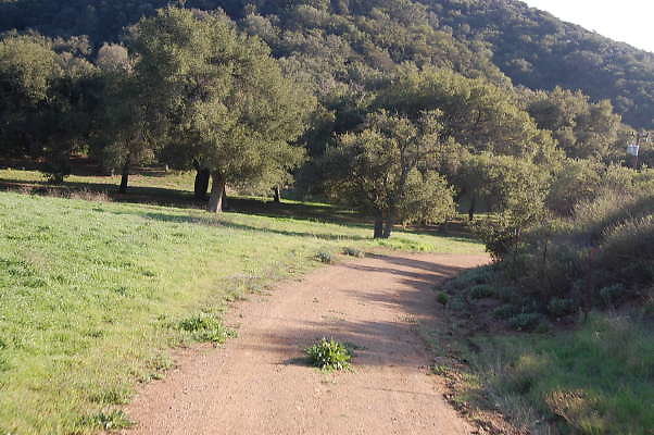 DSC 0999