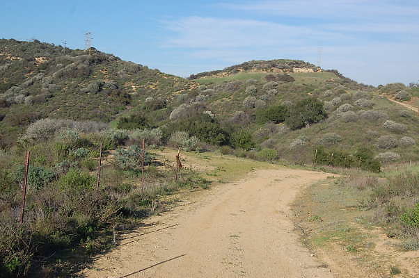 DSC 0984