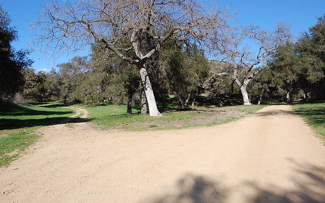 DSC 0143