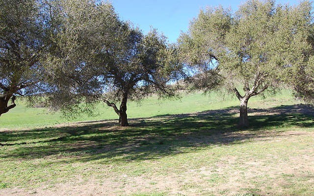 DSC 0138