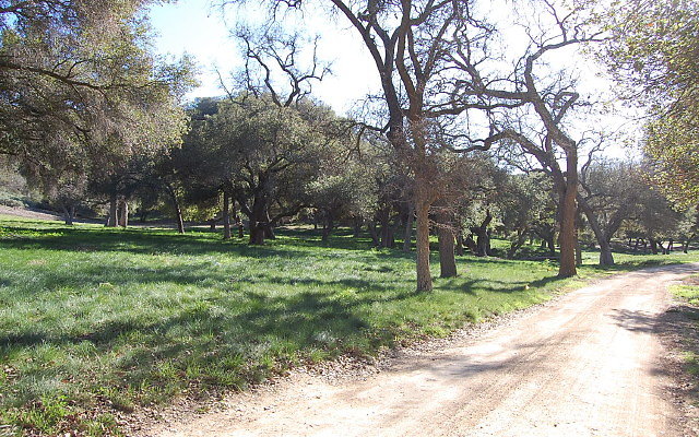 DSC 0135