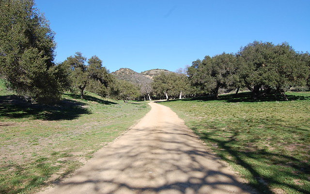 DSC 0139