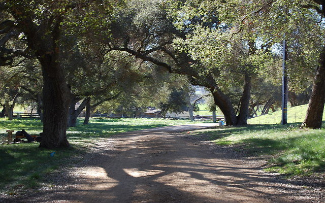 DSC 0127