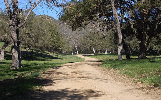 DSC 0131