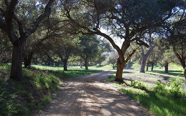 DSC 0148