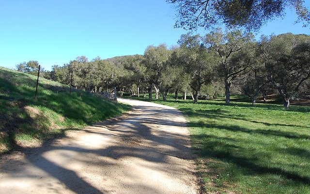 DSC 0116