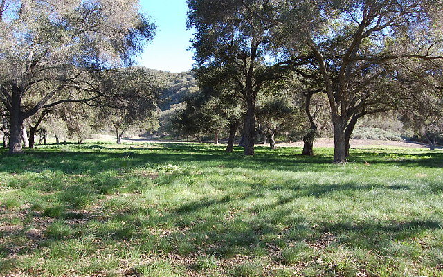 DSC 0134