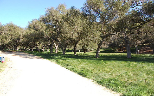 DSC 0117