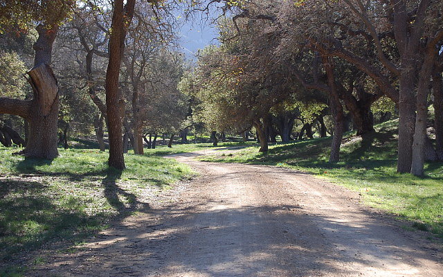 DSC 0136