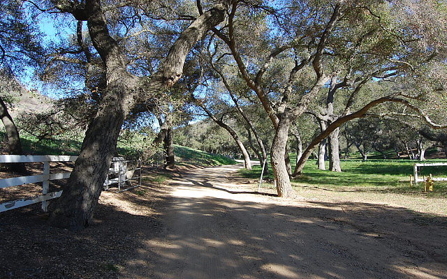 DSC 0115