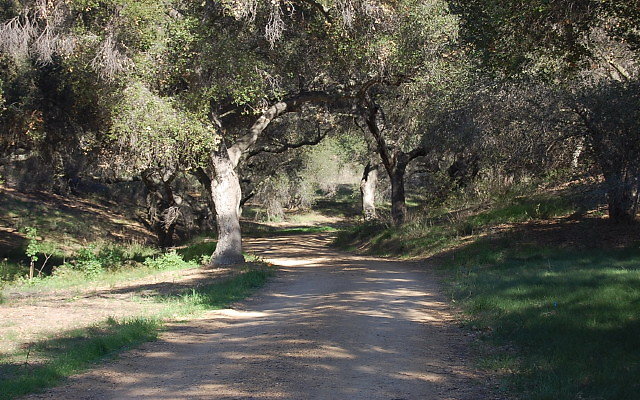 DSC 0145