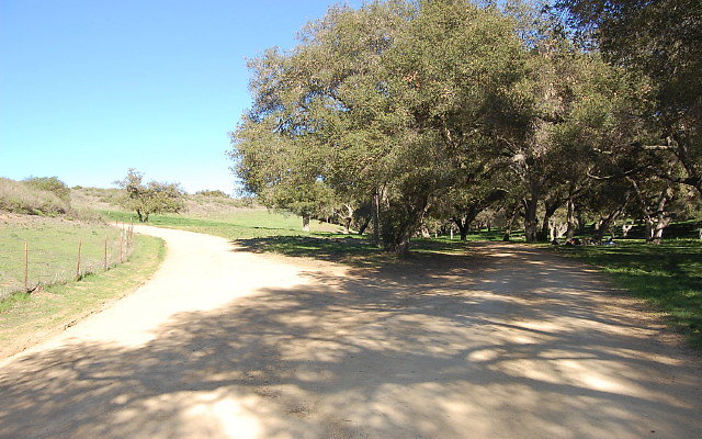 DSC 0121