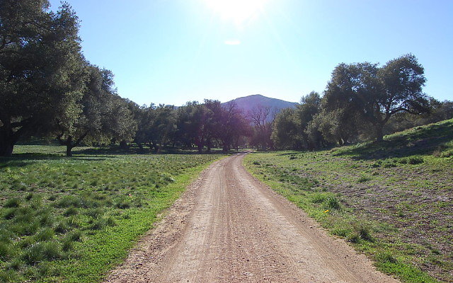 DSC 0142