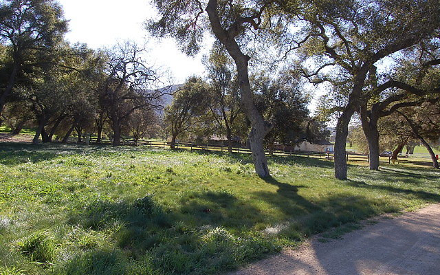 DSC 0119