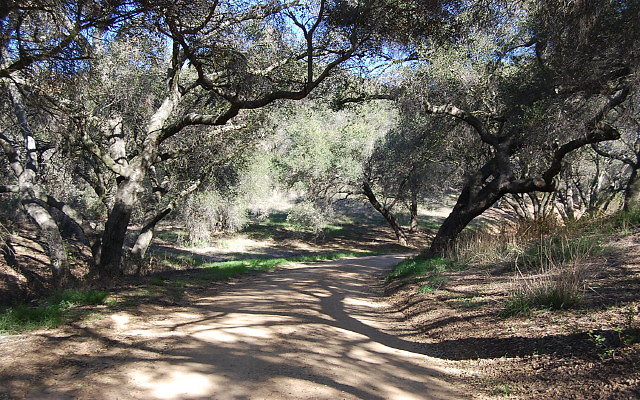 DSC 0147