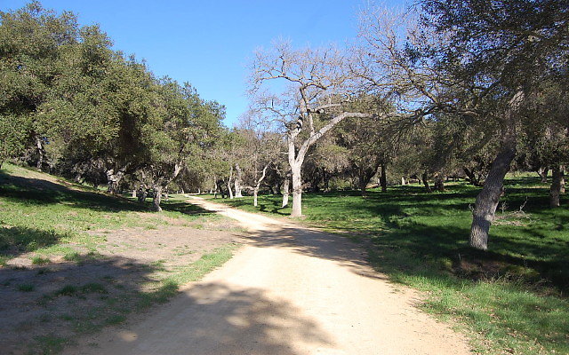 DSC 0128