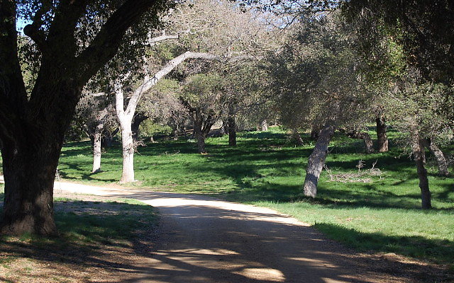 DSC 0124
