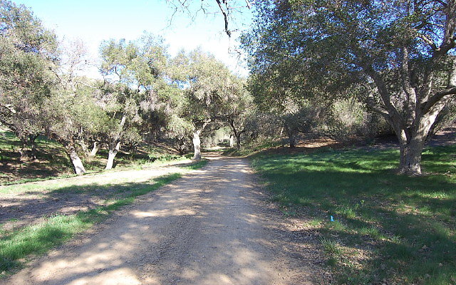 DSC 0144