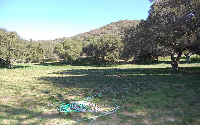 DSC 0140