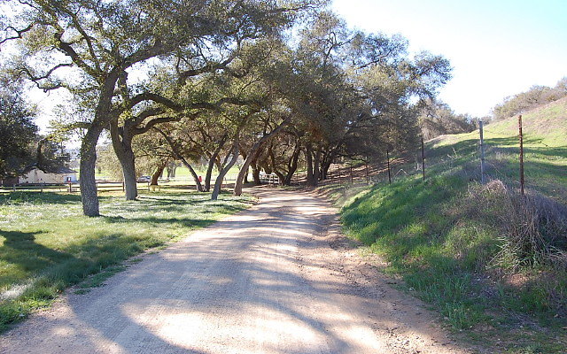 DSC 0120