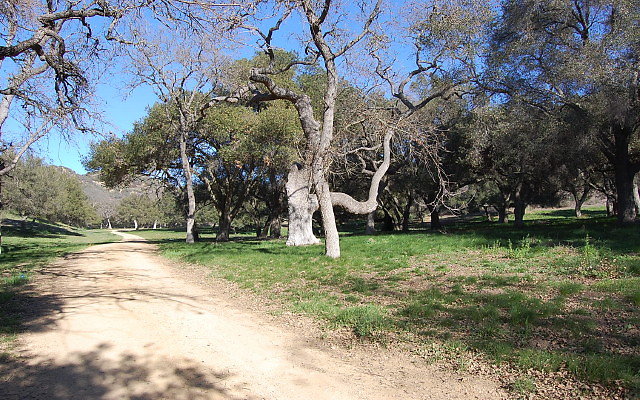 DSC 0133