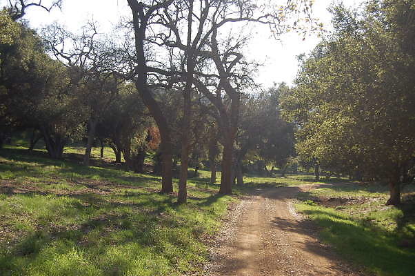 DSC 0953