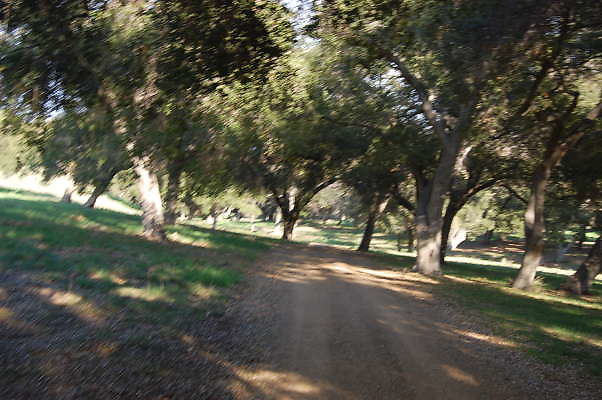 DSC 0961