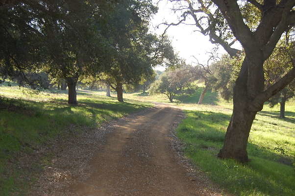 DSC 0948