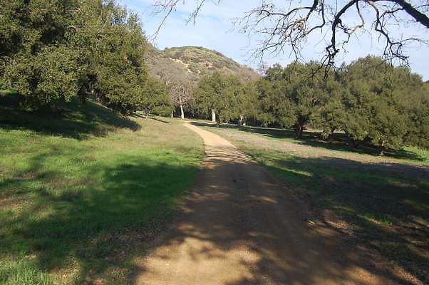 DSC 0965