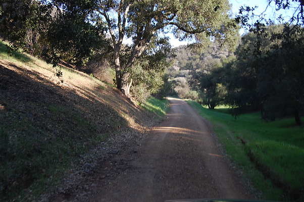 DSC 0970