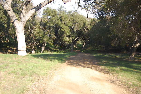 DSC 0967