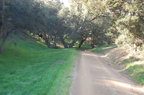 DSC 0942