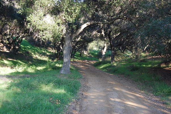 DSC 0968