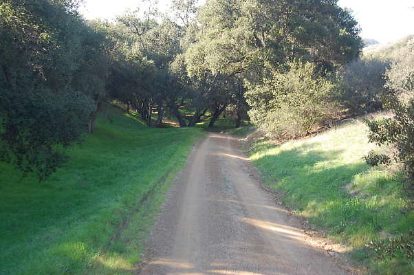 DSC 0941
