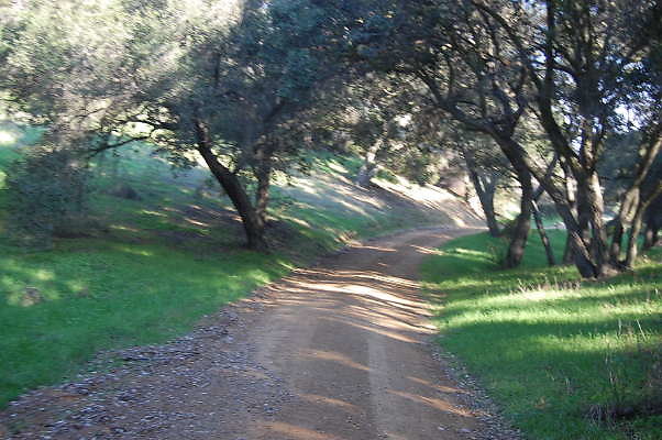 DSC 0969
