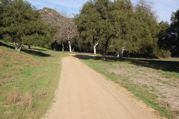 DSC 0966