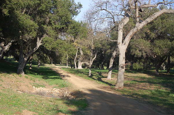 DSC 0963
