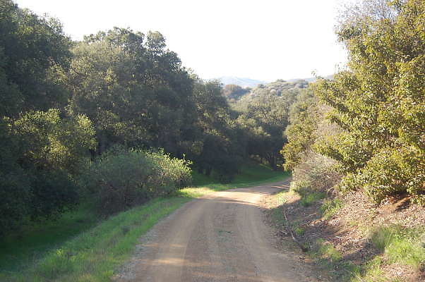 DSC 0940
