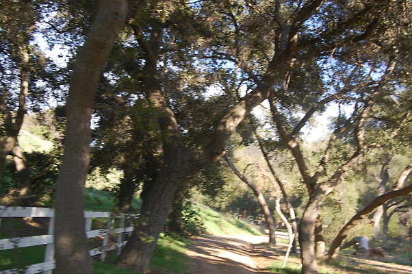 DSC 0959