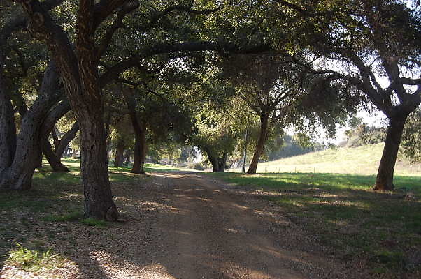 DSC 0955